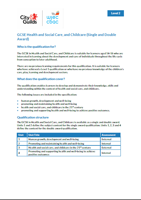 Gcse In Health And Social Care And Child Care Descriptor E