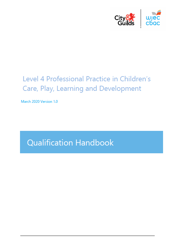 8041 17 L4 Ccpld Professional Practice Qualification Specification Eng V11