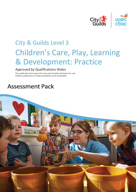 C0012459 Amendment Assessment Pack V11 Jun24